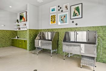 Dog spa